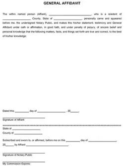 Affidavit Form form preview