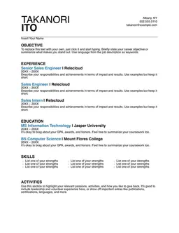 Basic sales resume form preview
