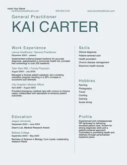 Modern traditional professional resume form preview
